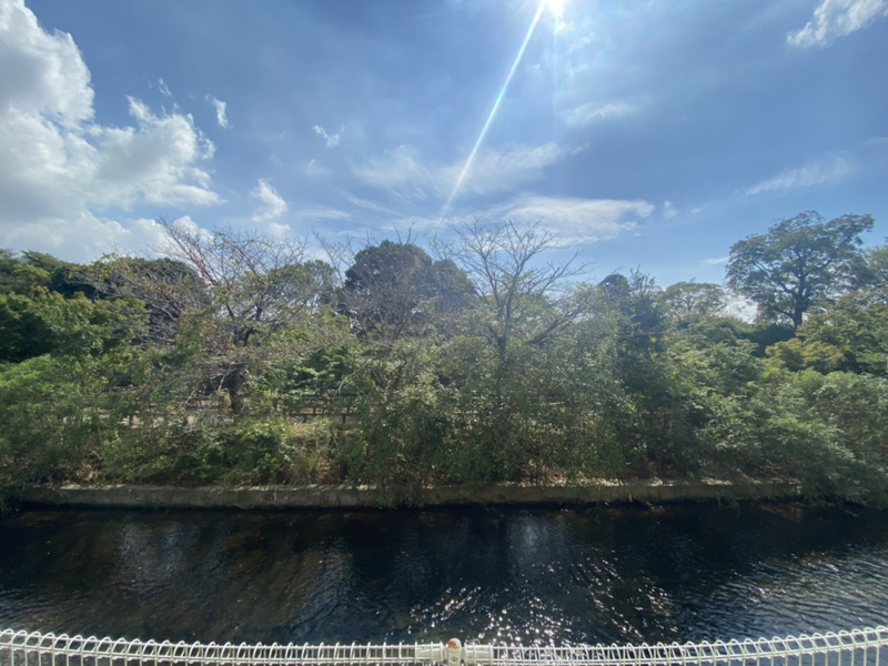眺望 写真15