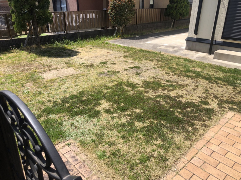 共用部 写真3