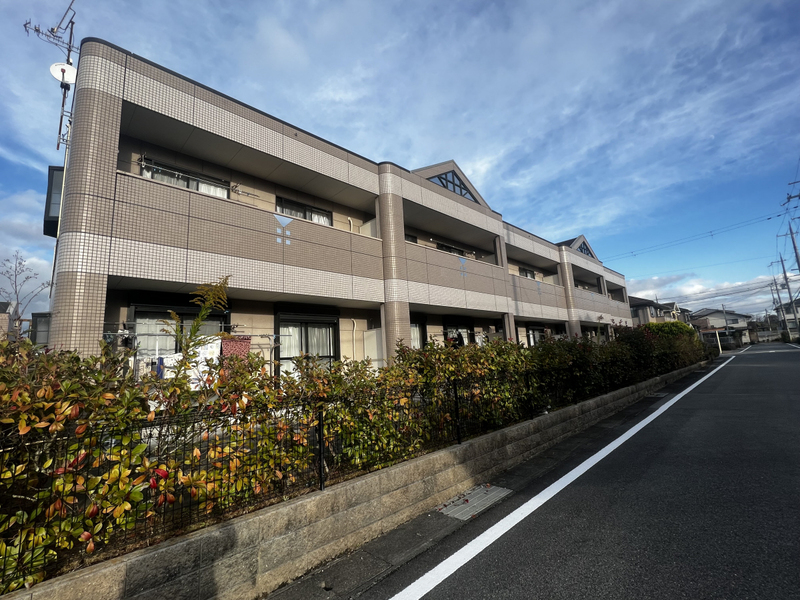 Ｍｓ　ＳＱＵＡＲＥ