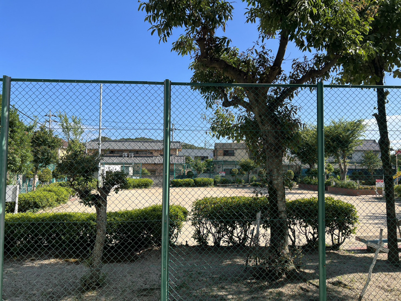 眺望 写真15