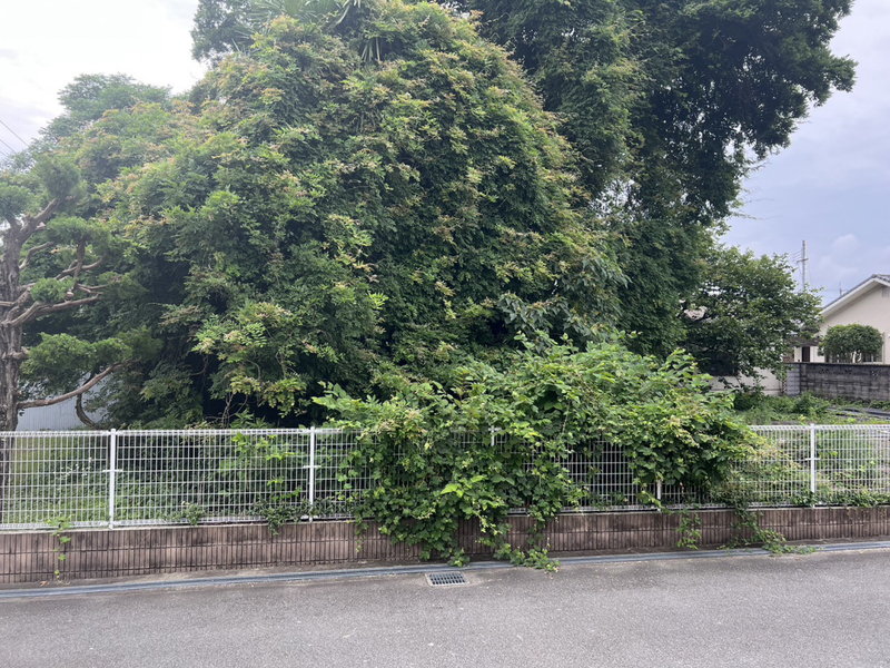 眺望 写真15