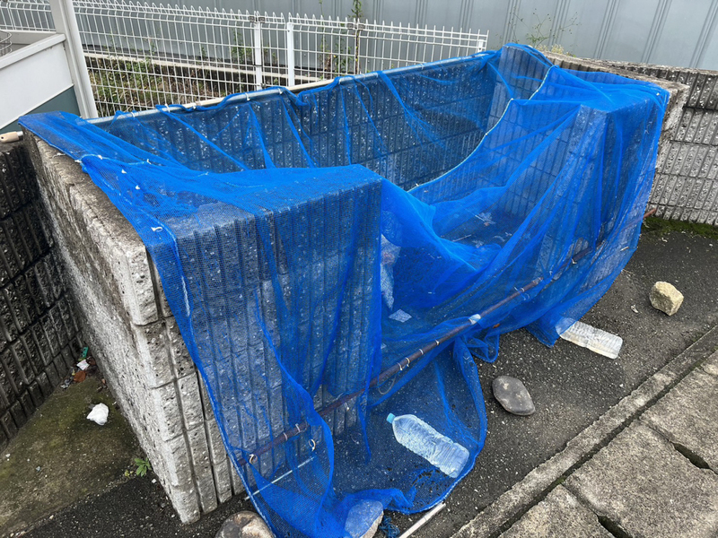 共用部 写真11