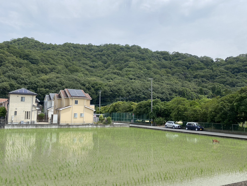 眺望 写真15