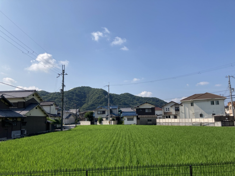 眺望 写真15