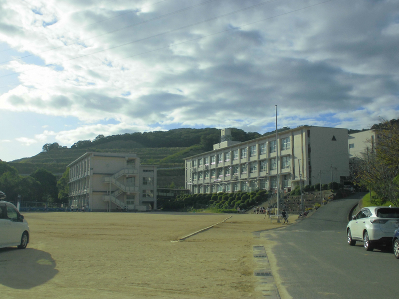 青葉台小学校まで587m (徒歩8分) 写真21