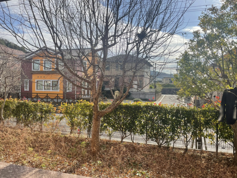 眺望 写真15