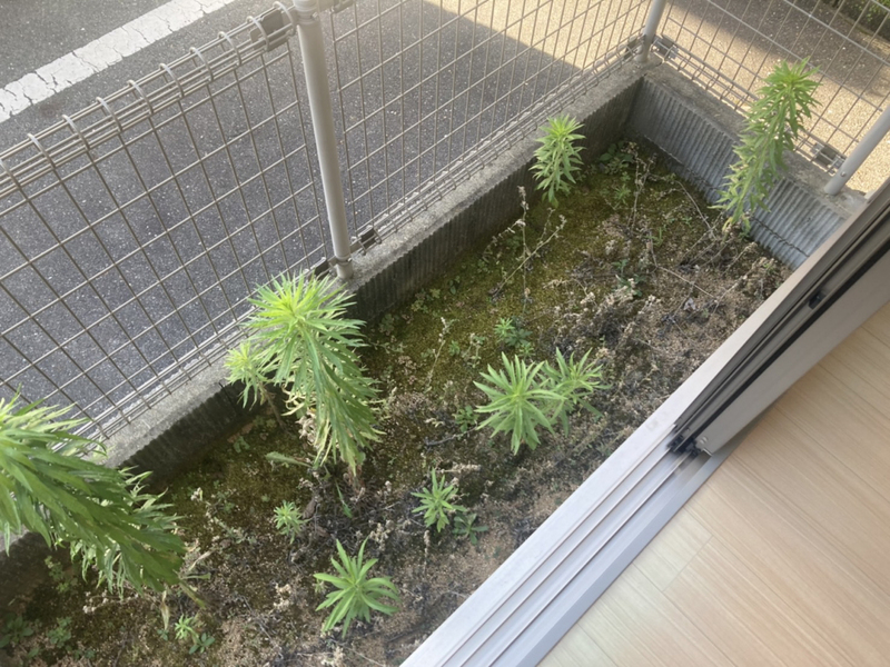 バルコニー・ベランダ 写真14