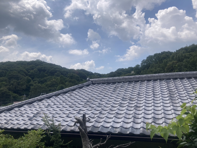 眺望 写真15