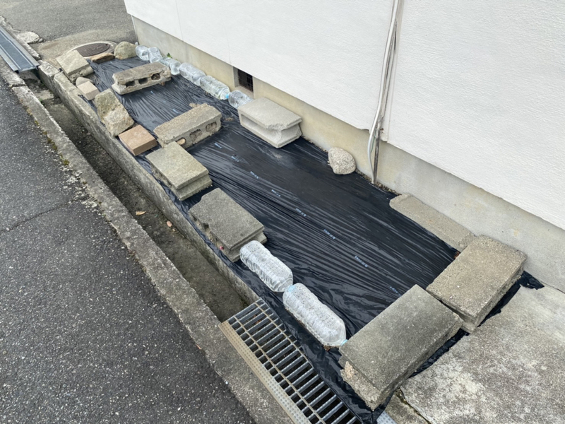 共用部 写真11