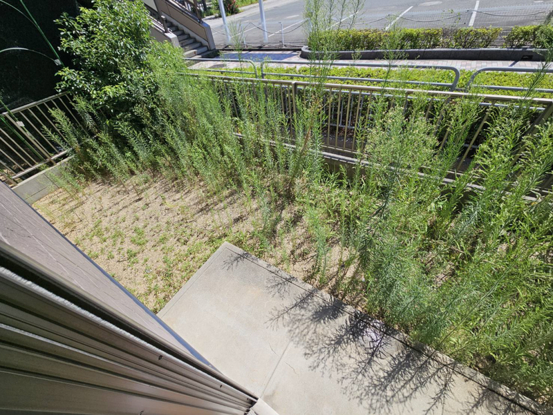 バルコニー・ベランダ 写真14