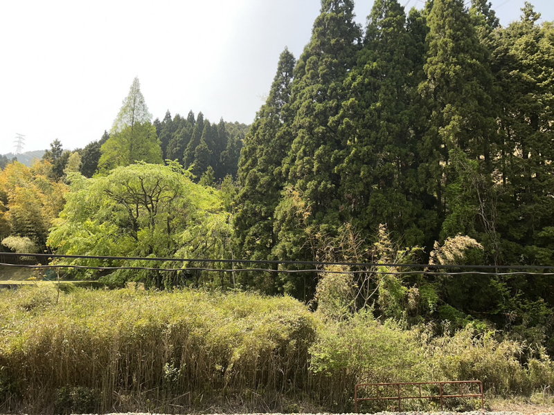 眺望 写真15