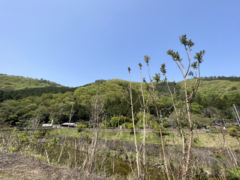 眺望 写真15