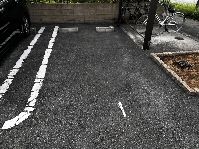 写真10
