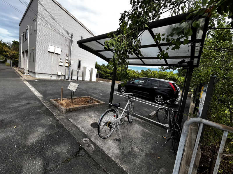 写真11