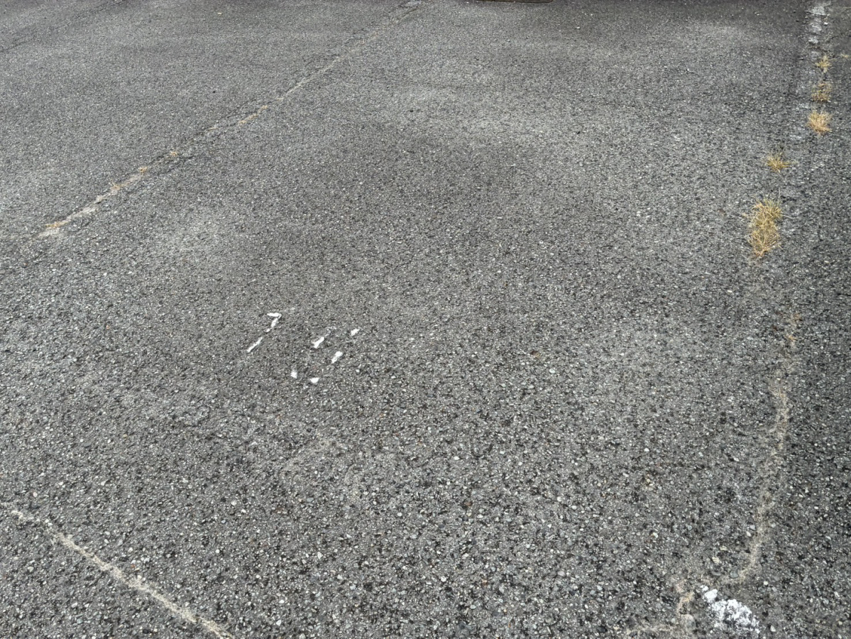駐車場 写真10