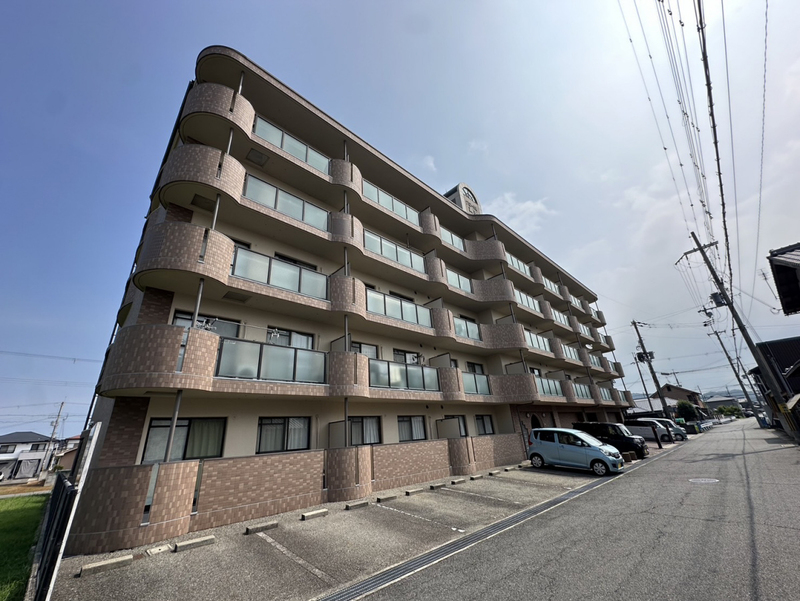 グローバル高田