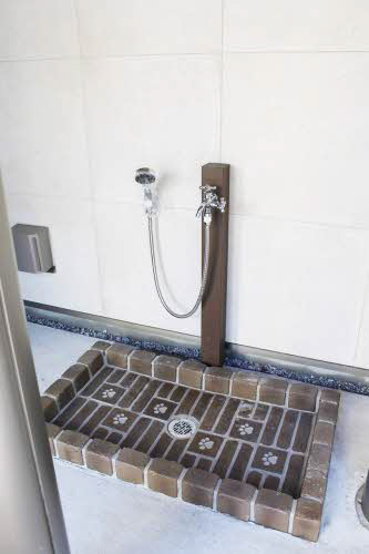 共用部 写真5