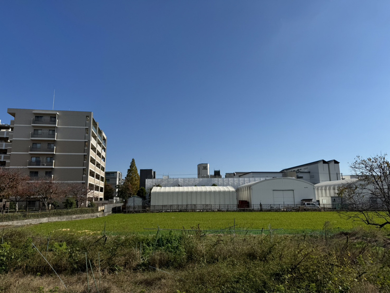 眺望 写真15