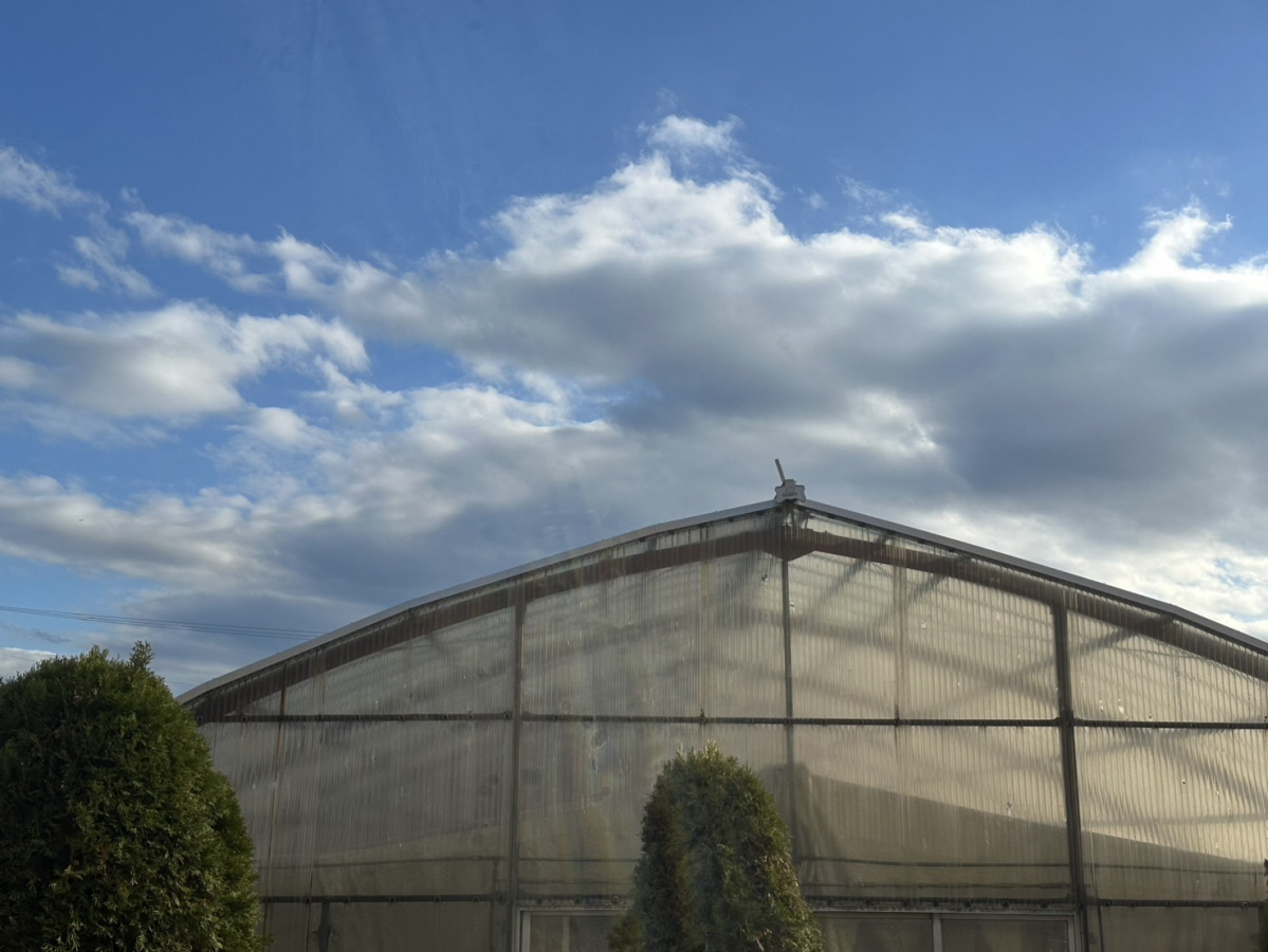 眺望 写真15