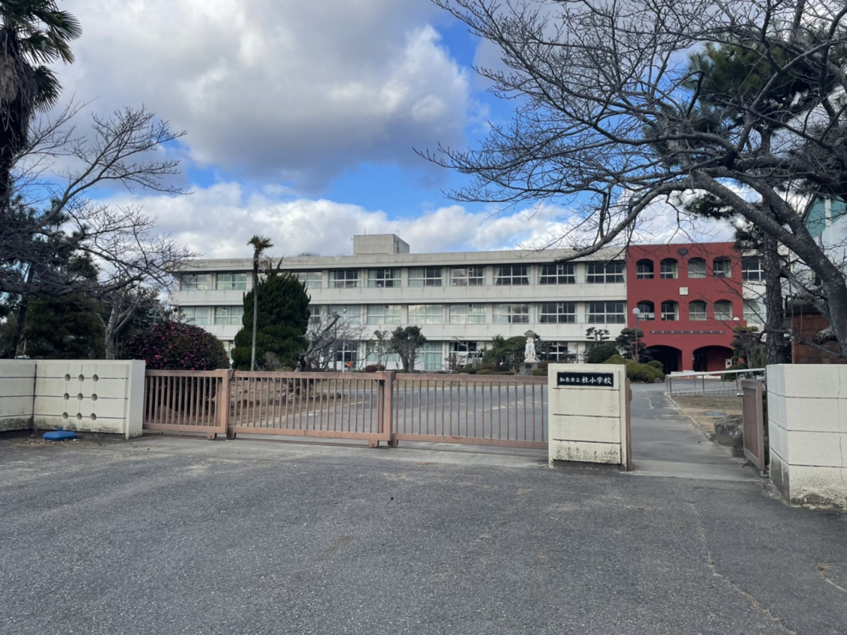 社小学校まで232m (徒歩3分) 写真21