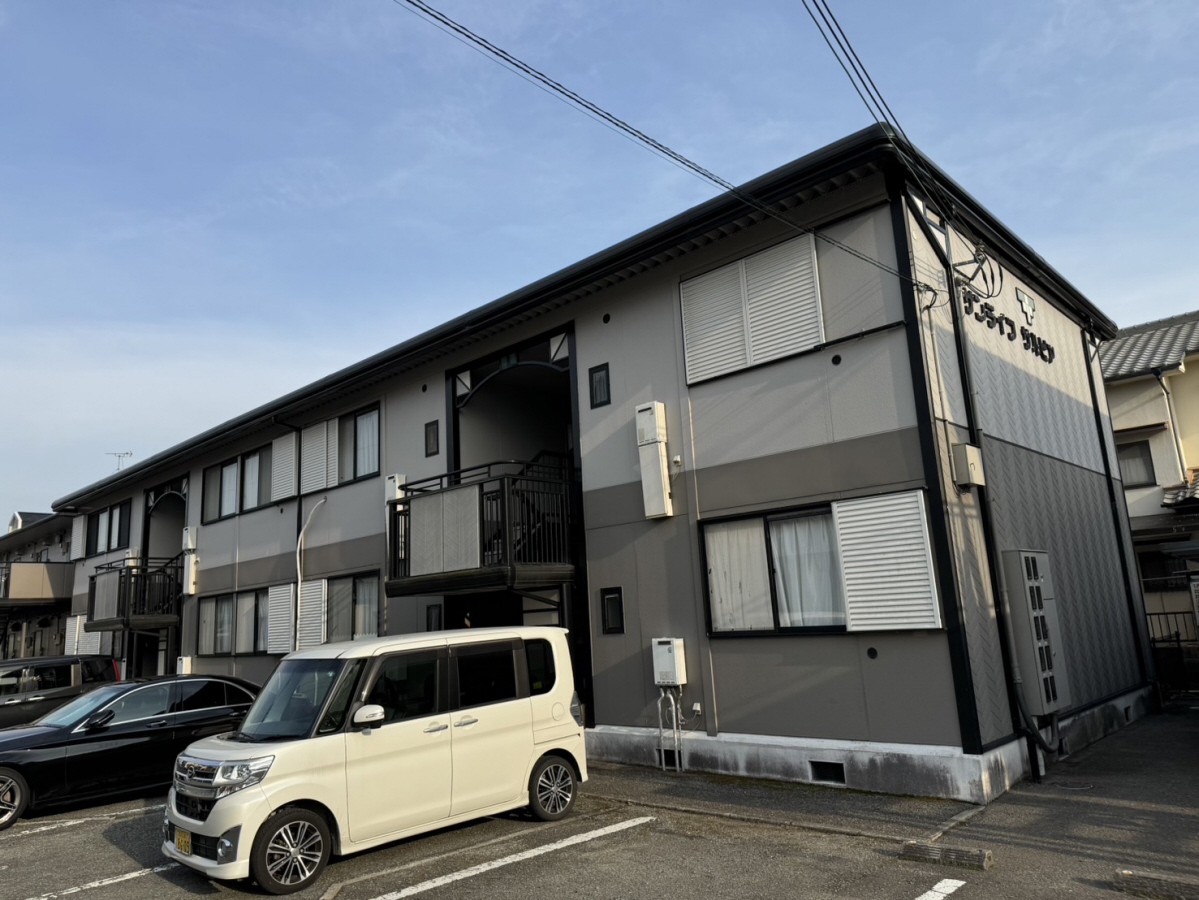 サンライフサルビア