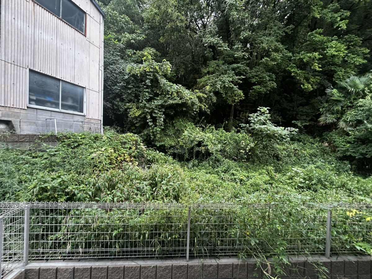 眺望 写真15