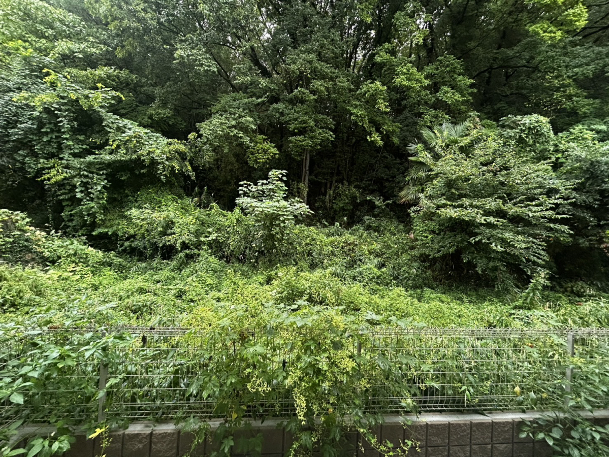 眺望 写真15