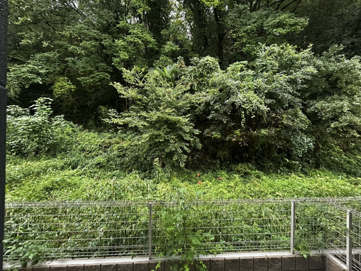 眺望 写真15