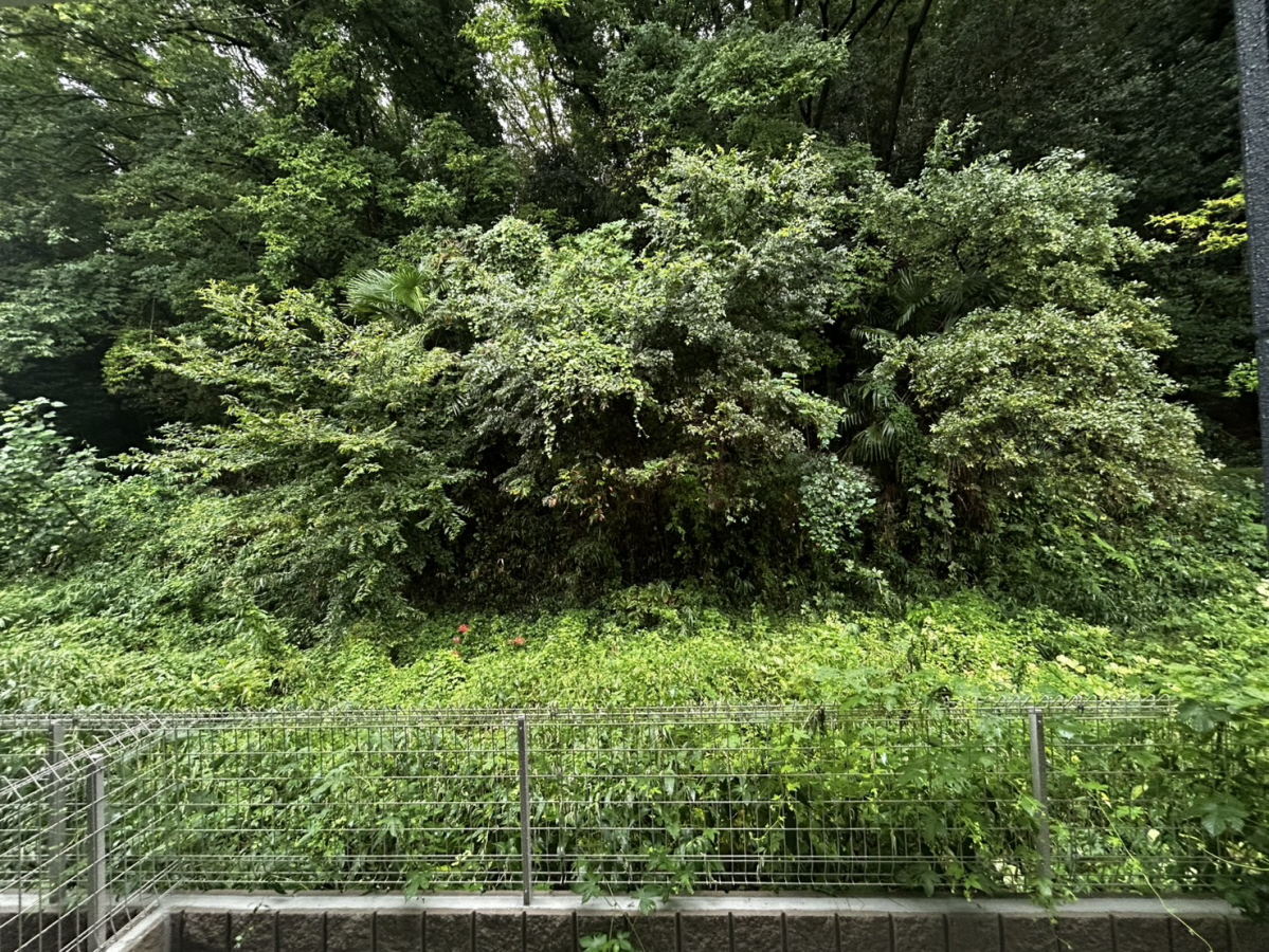 眺望 写真15