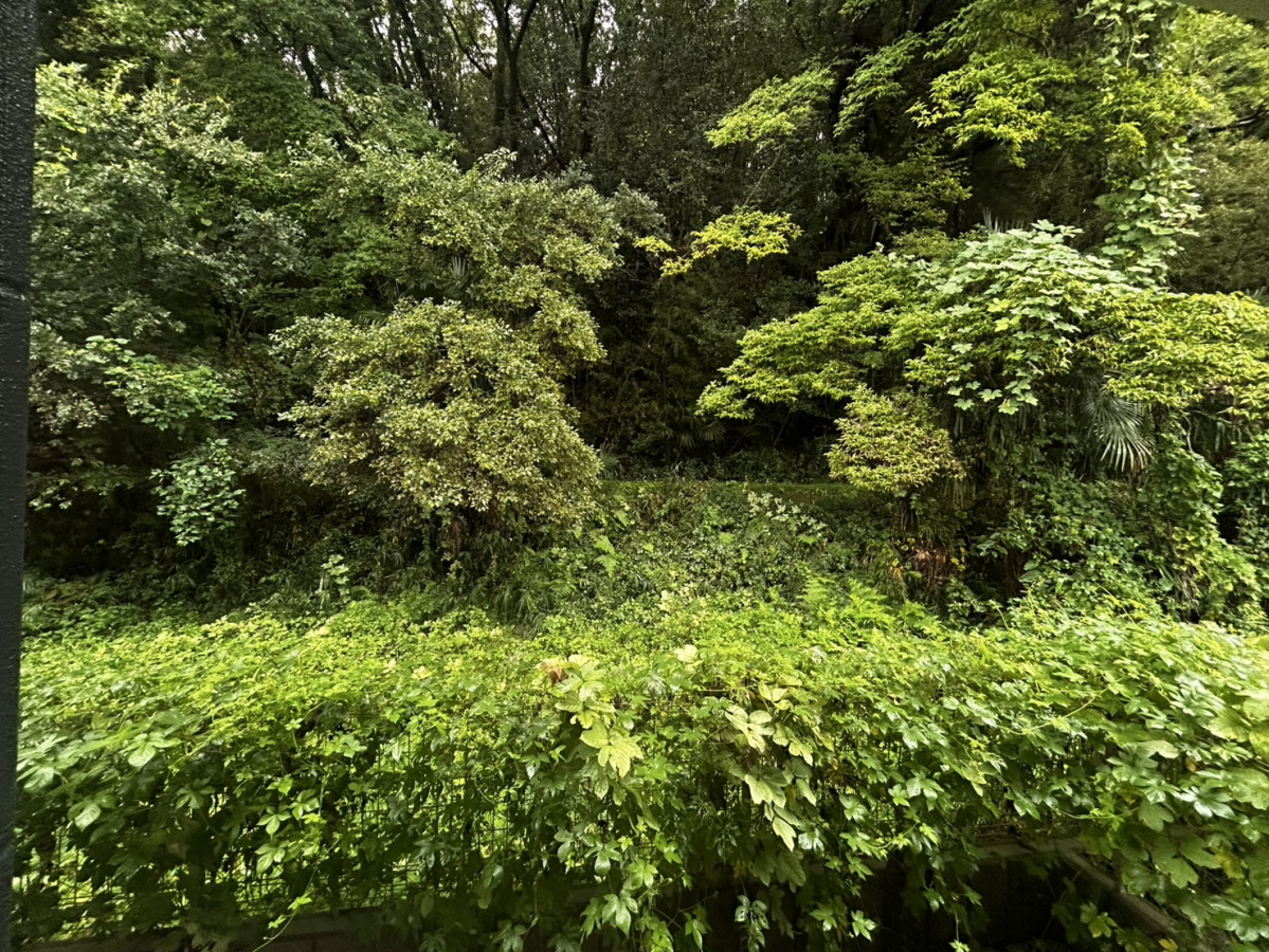 眺望 写真15
