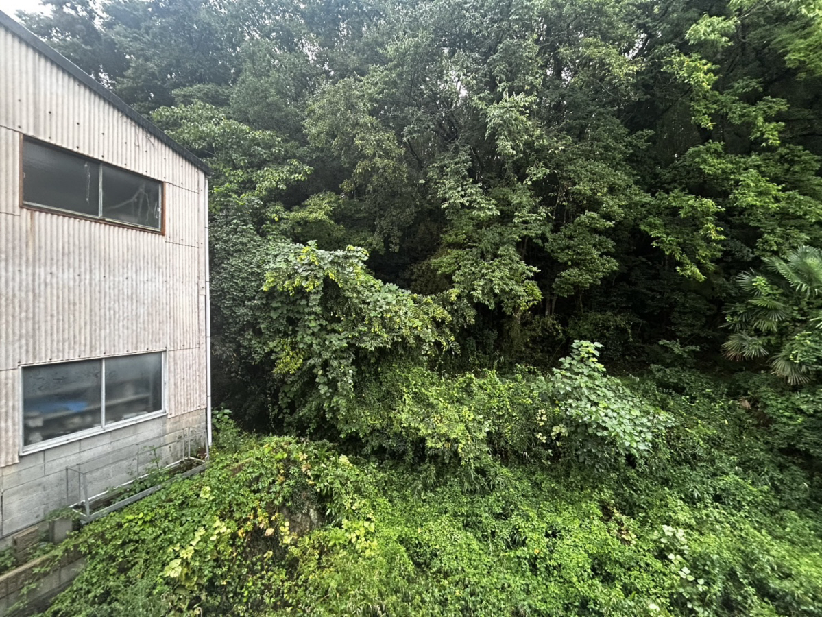 眺望 写真15