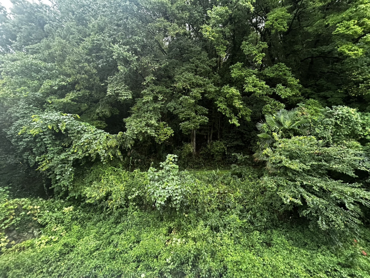 眺望 写真15