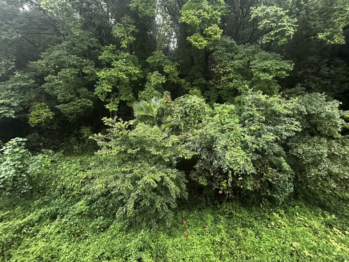 眺望 写真15