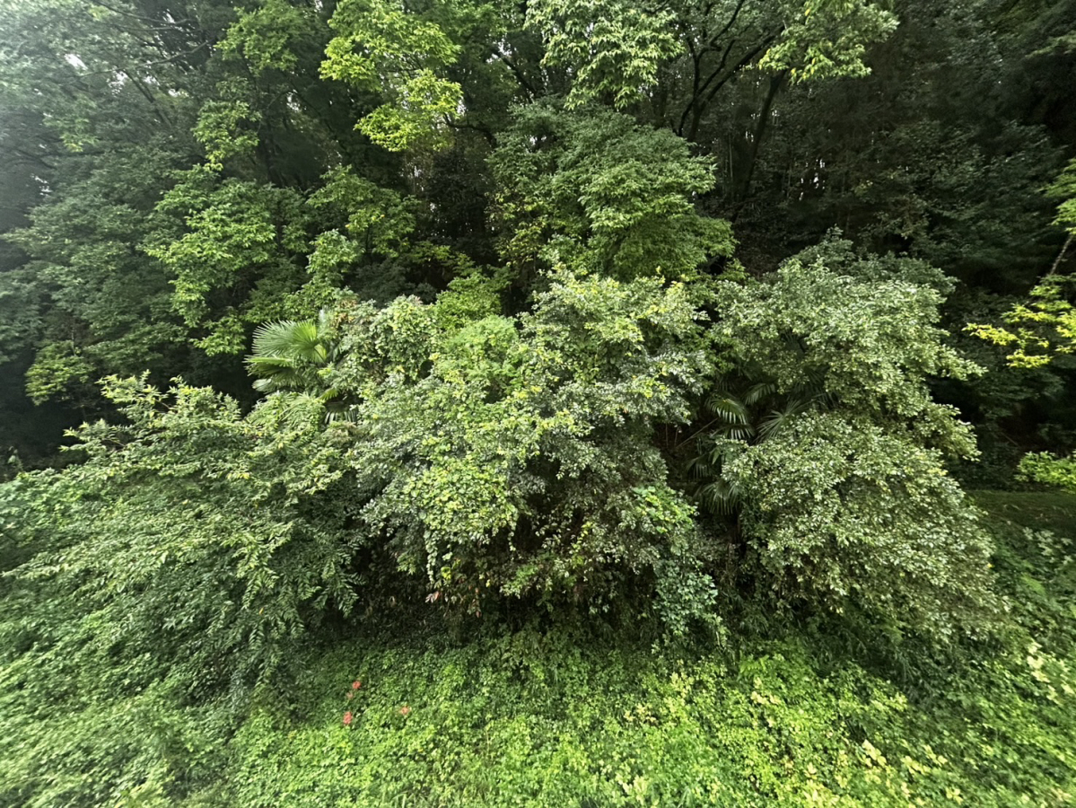 眺望 写真15