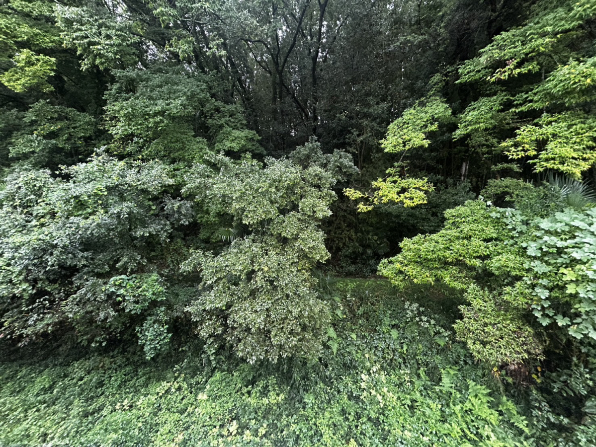 眺望 写真15