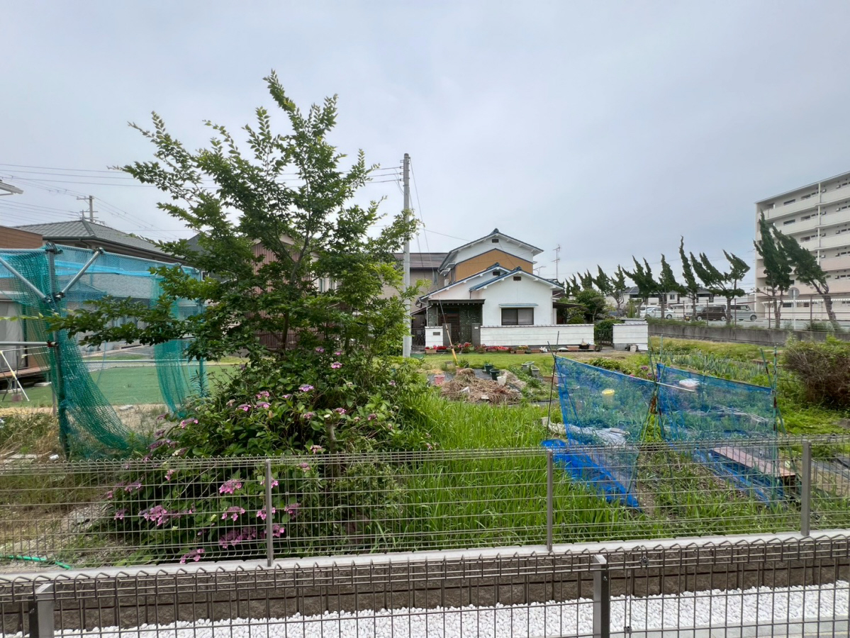 眺望 写真15
