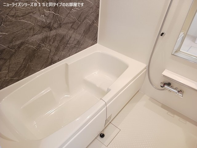 バス 写真3