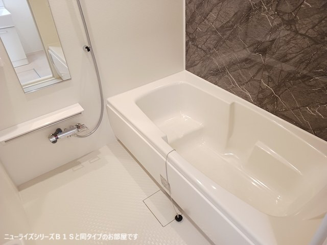 バス 写真4