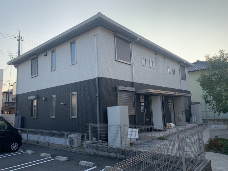 ルピナス