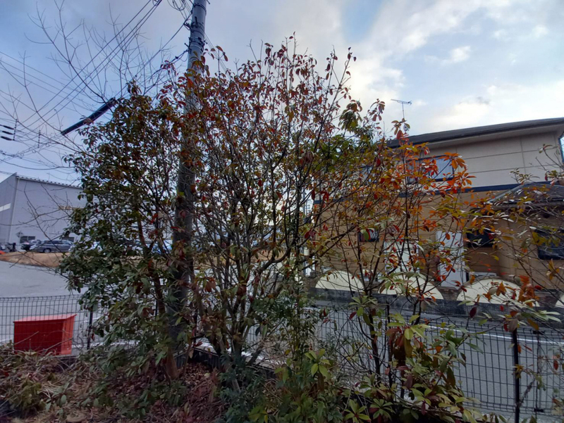 眺望 写真15