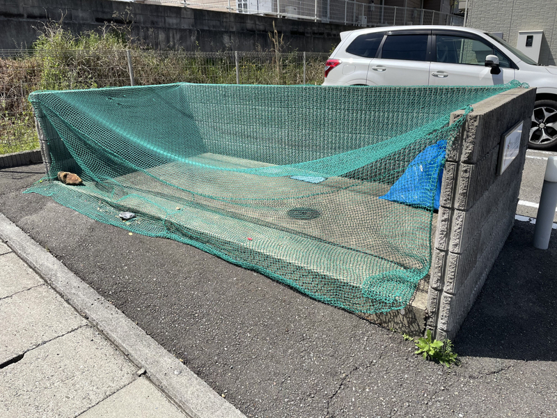 共用部 写真11