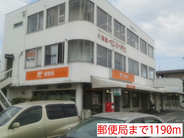 写真17