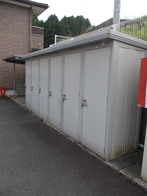 写真11