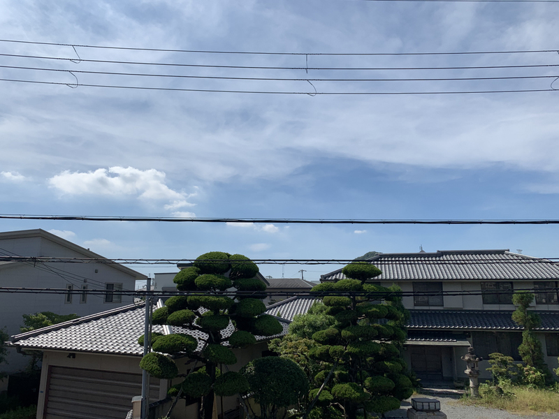 眺望 写真15