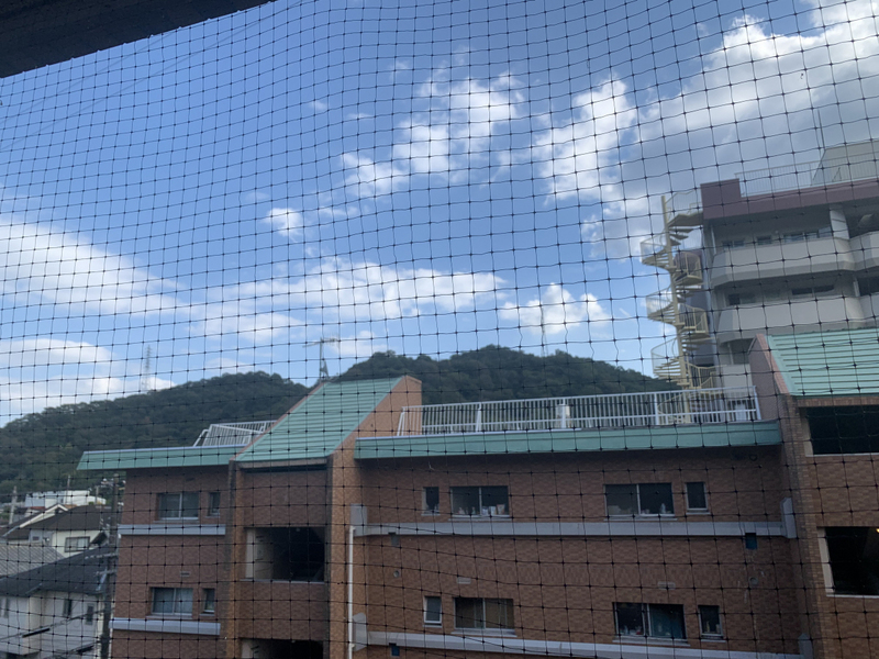 眺望 写真15