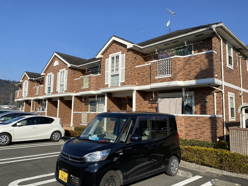 ブライトメアリーⅤ