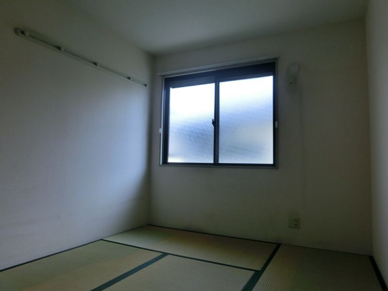 写真19