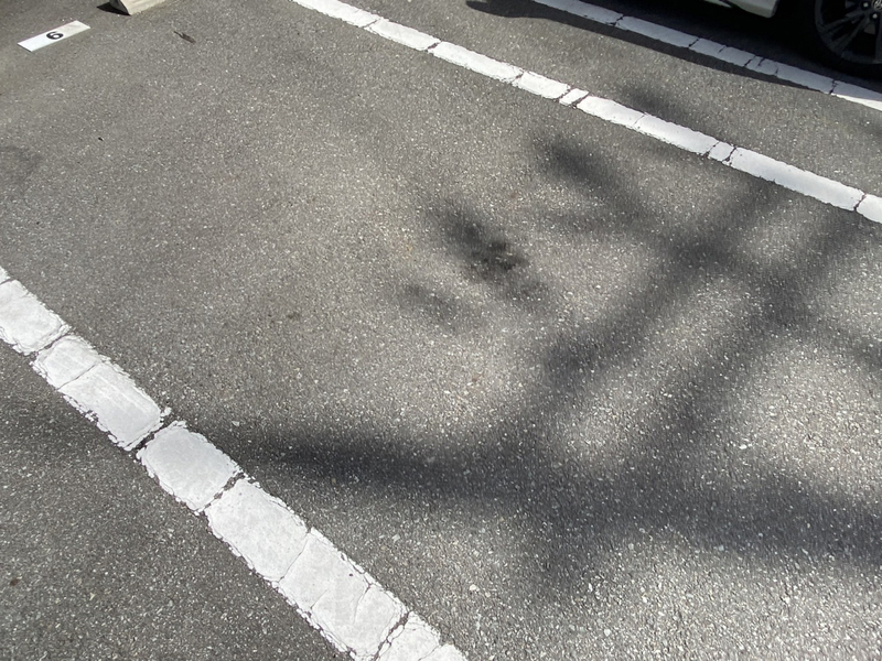写真10