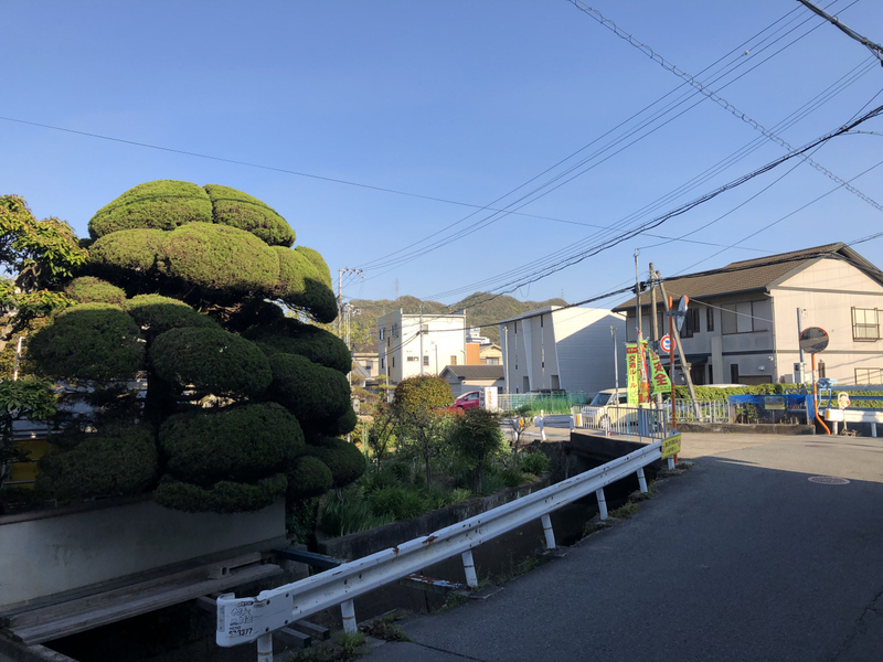 眺望 写真15