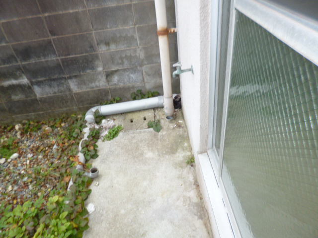 写真12